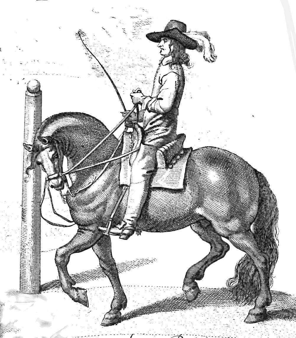 1002x1144 Horsemagazine The Horse Magazine Page 16