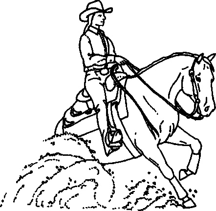 442x432 Halter Horse Drawing And Award