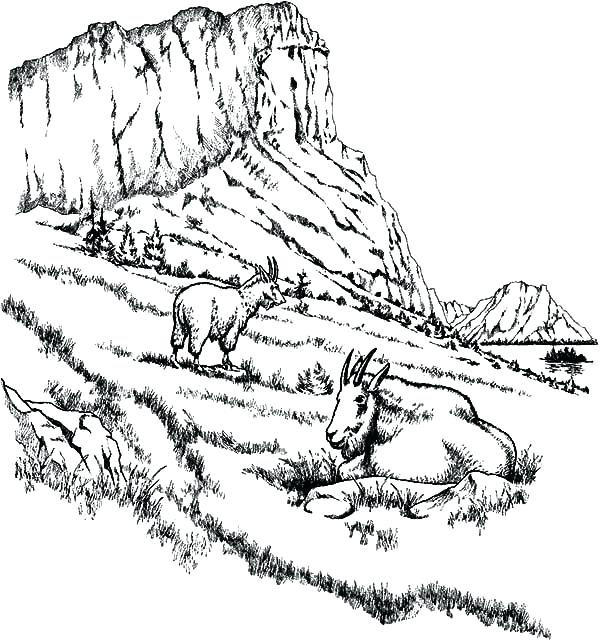 600x640 Mountain Coloring Pages Two Mountain Goat Relaxing Coloring Pages