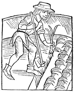 241x300 Early Renaissance Drawings Fine Art America