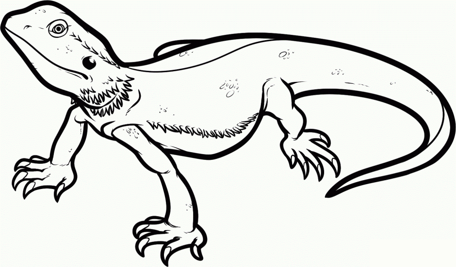 940x551 Reptile Coloring Page