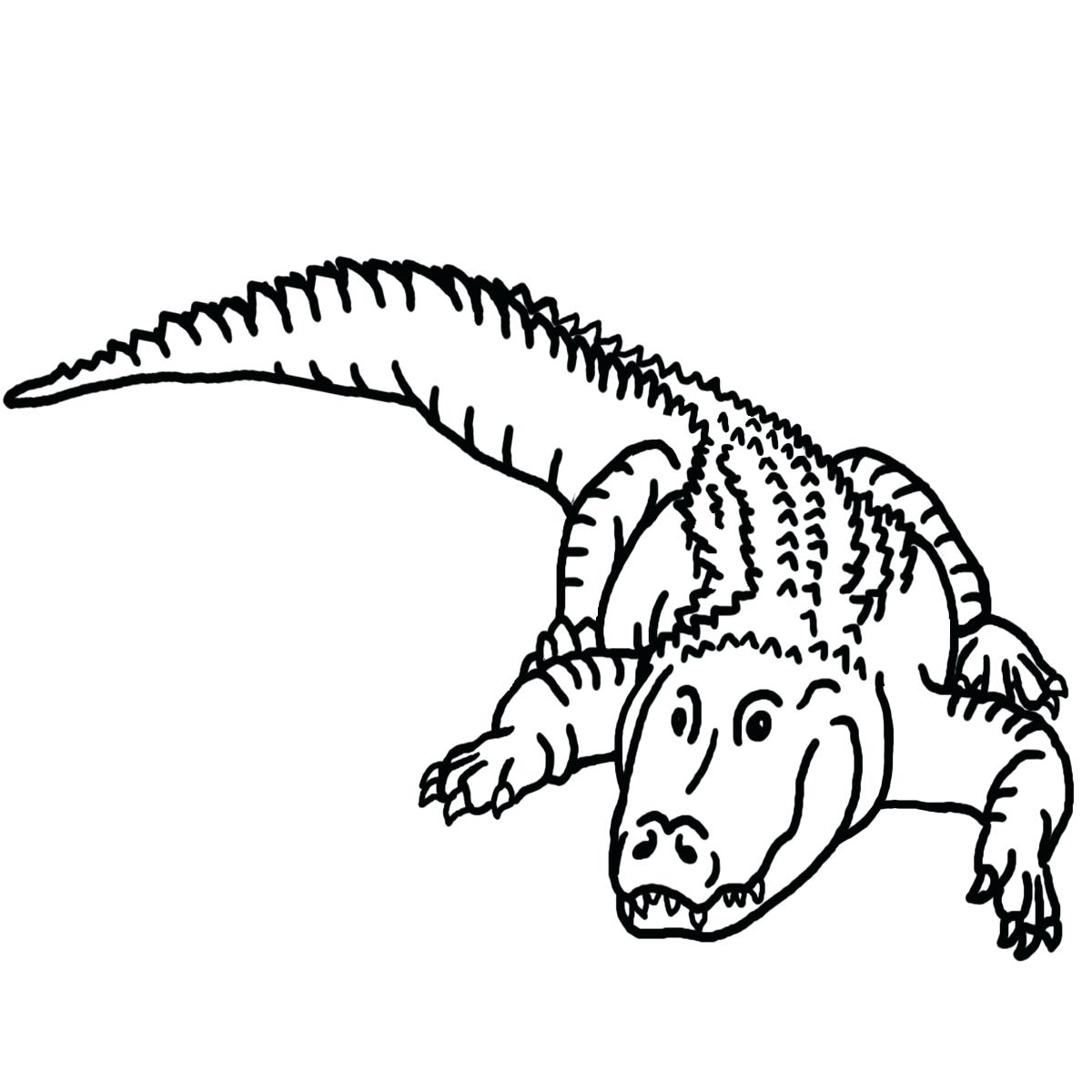 1200x1200 Coloring Reptiles Coloring Pages Drawn Reptile Line Drawing 5