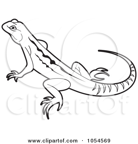450x470 Drawings Of Lizards Royalty Free Reptile Illustrations By Lal