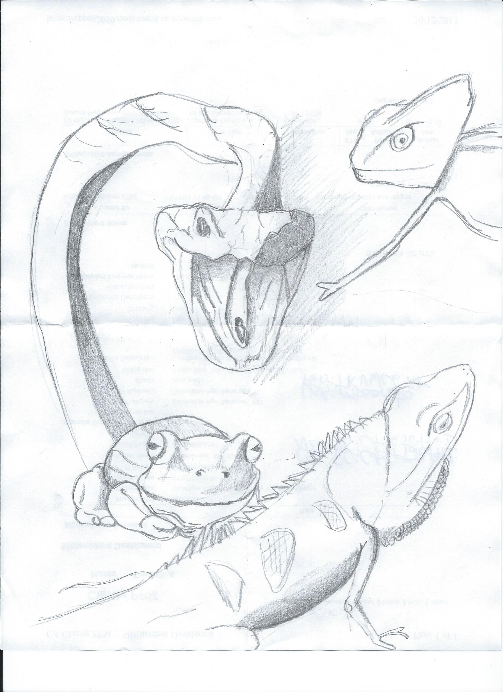 1700x2338 January 2nd