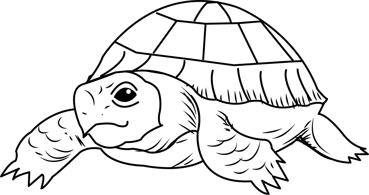 1180x624 Free Clip Art Animals Reptiles Tortoise2 (Bw)