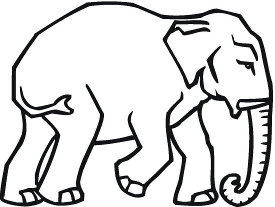 550x414 Republican Elephant Coloring Page