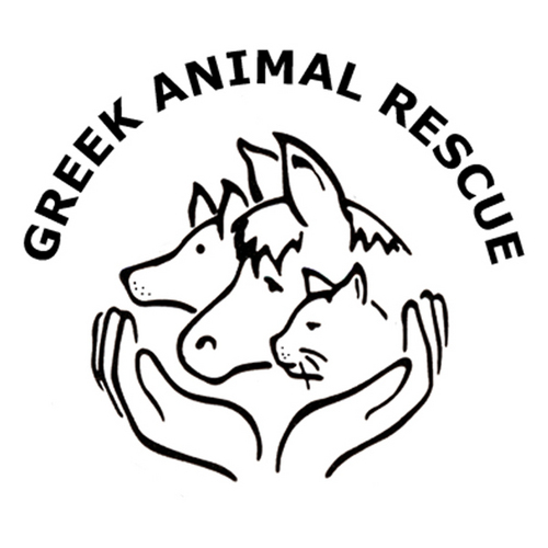 500x500 Greek Animal Rescue (@garanimalrescue) Twitter