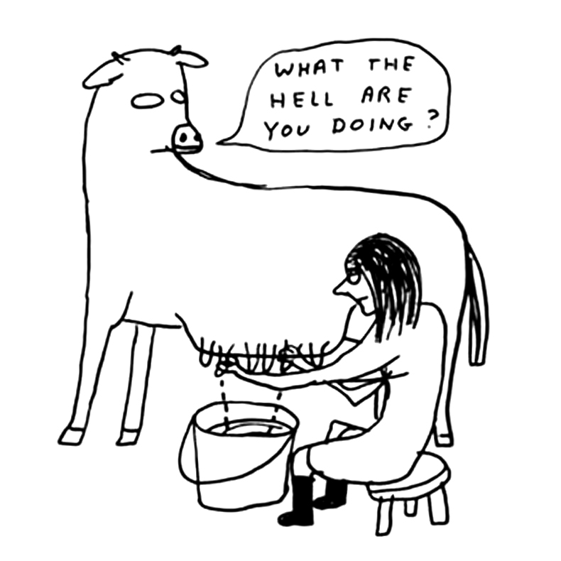 790x790 David Shrigley (This Caricature Summarizes The Human Wonder