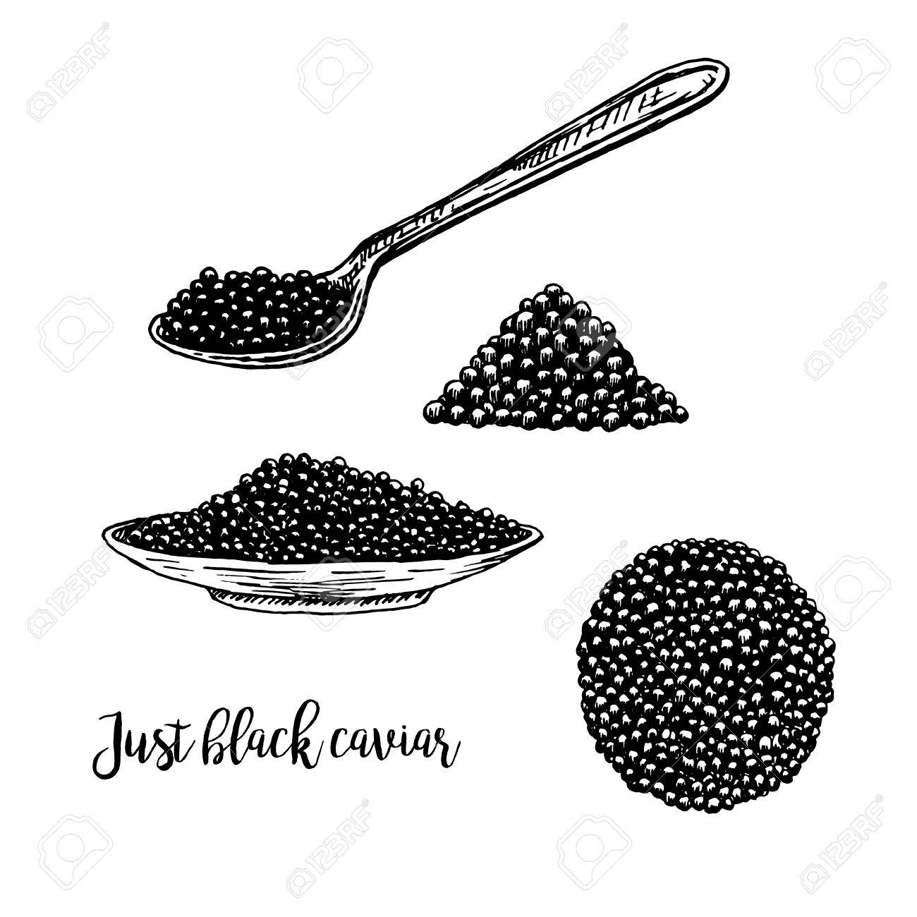 1300x1300 Hand Drawn Set Of Plate With Black Caviar. Retro Sketches Isolated