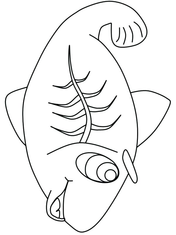 600x800 X Ray Coloring Page Adult Coloring Page Aboriginal Art Ray Rice