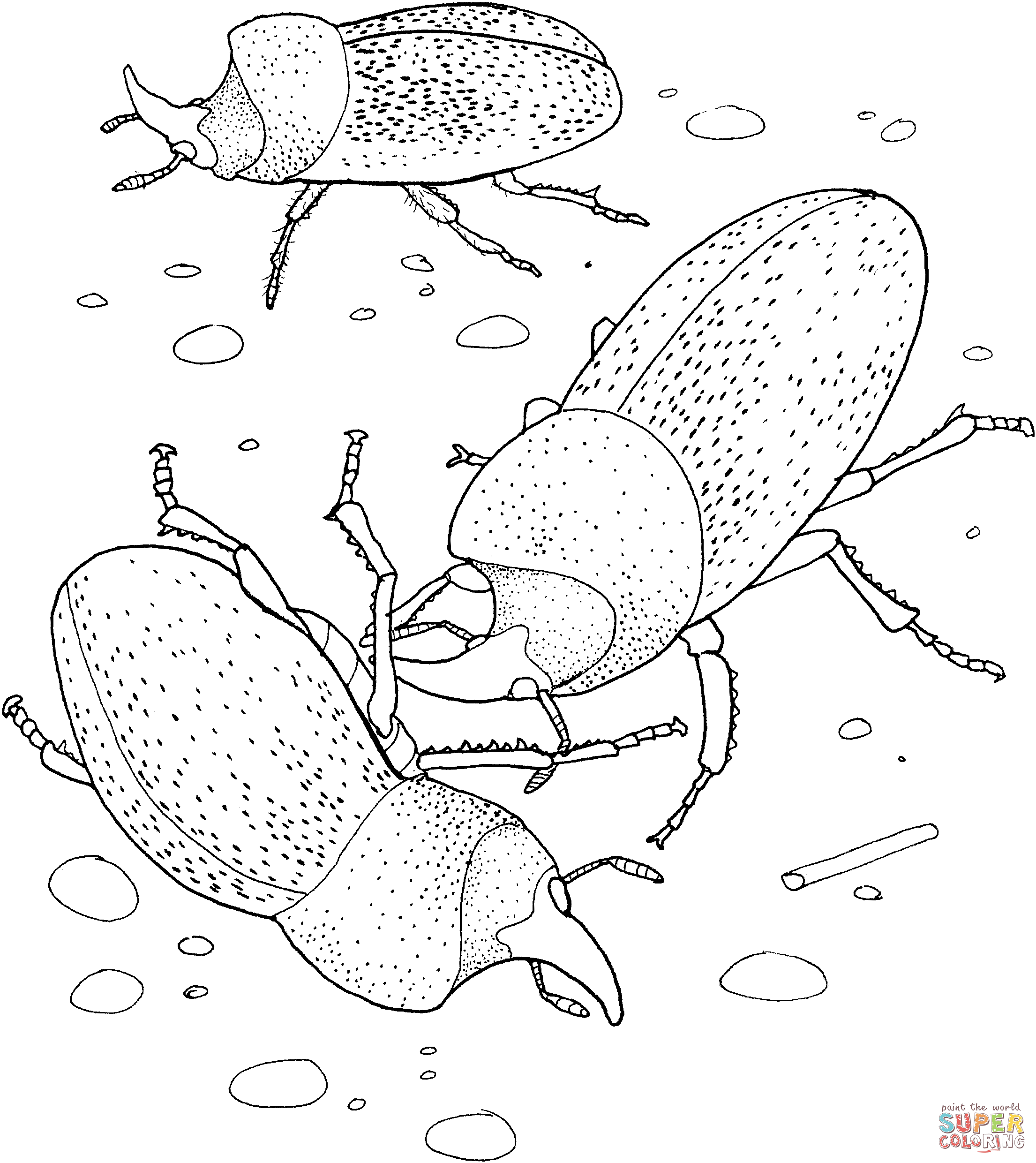 2210x2480 Rhinoceros Beetles Coloring Page Free Printable Coloring Pages