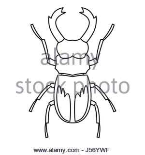 300x320 Rhinoceros Beetle Icon, Simple Style Stock Vector Art