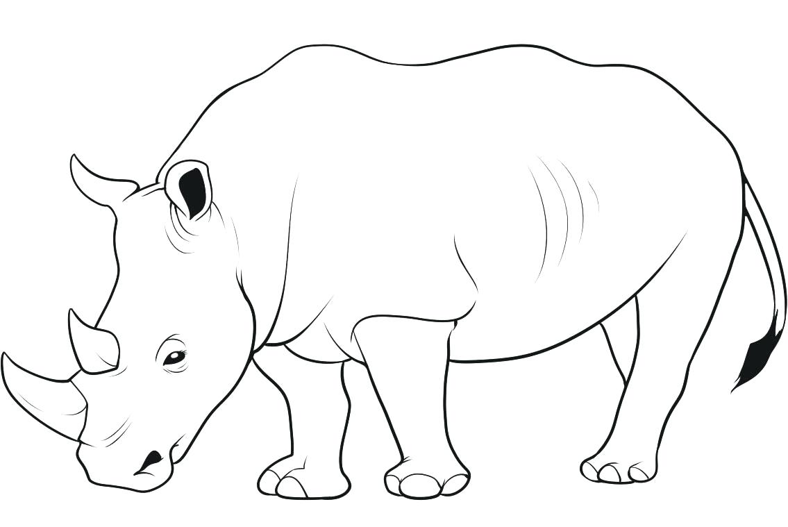 1135x759 Coloring Rhinoceros Coloring Page