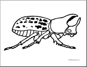 304x236 Clip Art Insects Rhinoceros Beetle (Coloring Page) I Abcteach