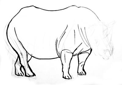 400x280 How To Draw A Rhinoceros