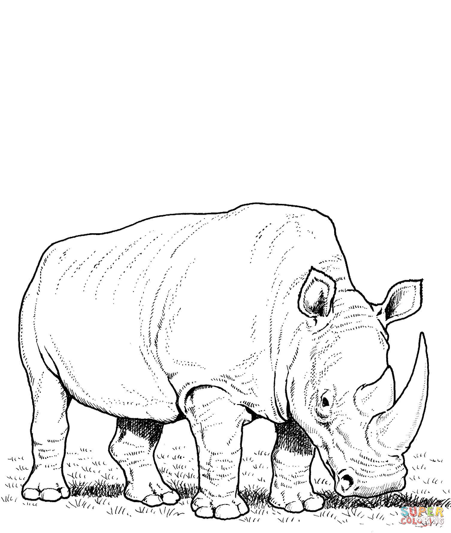 1505x1778 Rhino Coloring Pages Free Coloring Pages