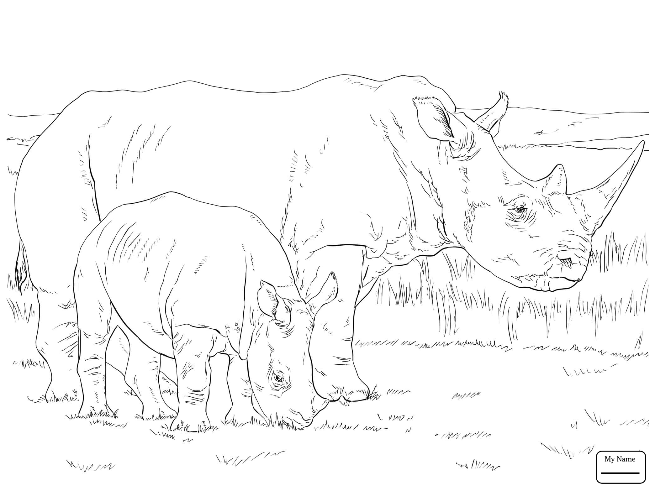 2089x1567 Coloring Pages Mammals Baby Rhinoceros And Mother Against