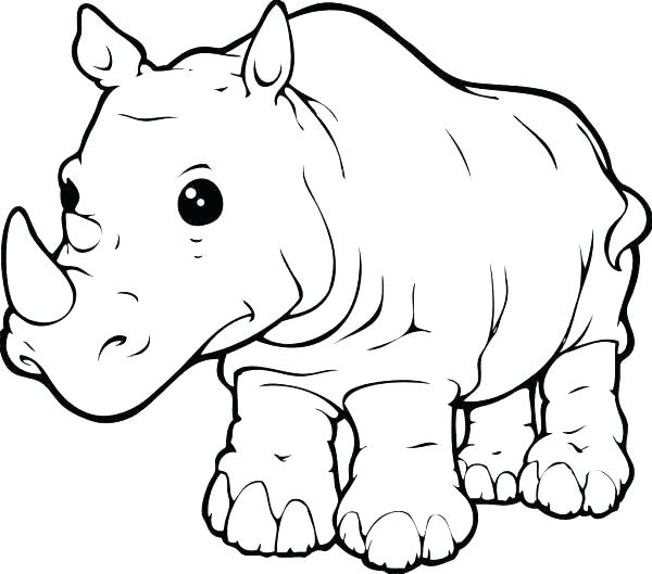 600x529 Delightful Rhino Coloring Page Free Download