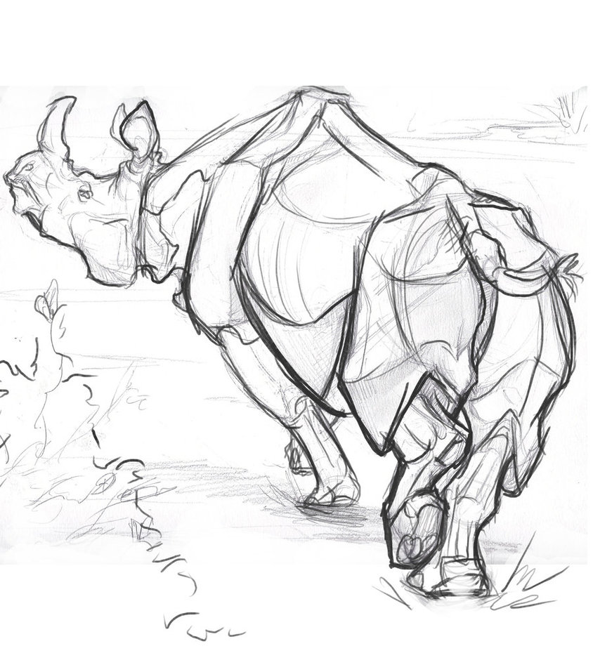 844x947 Rhino Run By Sindonic