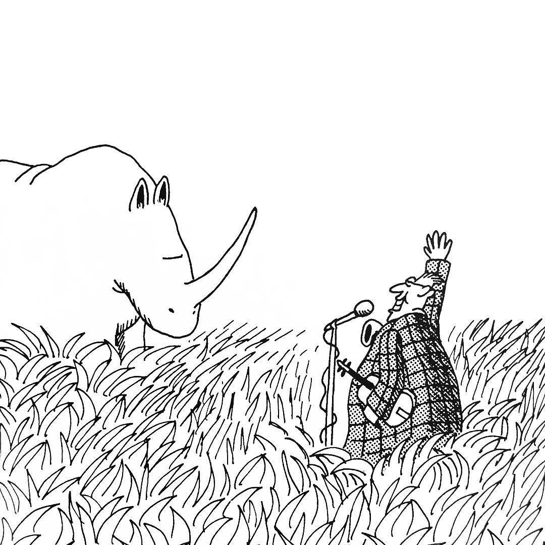 1080x1080 The African Rhino An Animal With Little Or No Sense Of Humor