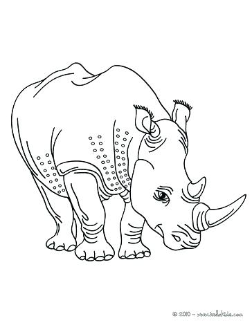 364x470 Rhino Coloring Page