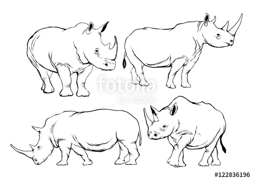 500x357 Rhino Outline Silhouette Set Stock Image And Royalty Free Vector