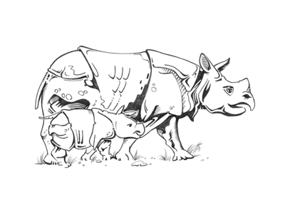 400x300 Pencil Drawing Rhinos By Indian