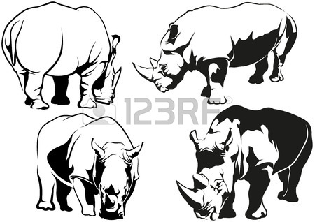 450x318 Sketch Of Rhinoceros. Royalty Free Cliparts, Vectors, And Stock