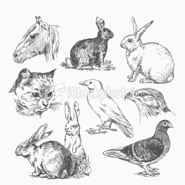 380x379 46 Best Art Images On Water Colors, Artsy Fartsy