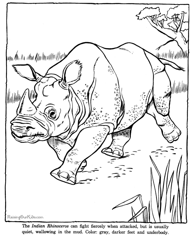670x820 Coloring Pages Magnificent Rhinoceros Coloring Pages Drawing