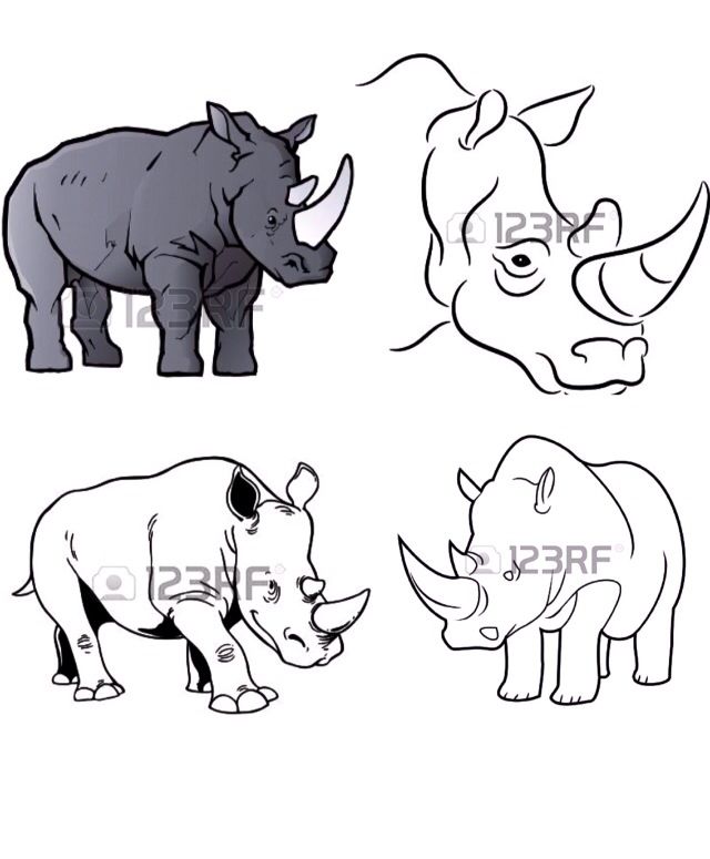 Rhinoceros Drawing
