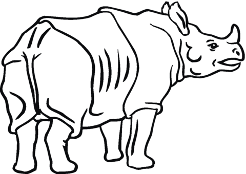 480x340 Indian Rhinoceros Coloring Page Free Printable Coloring Pages