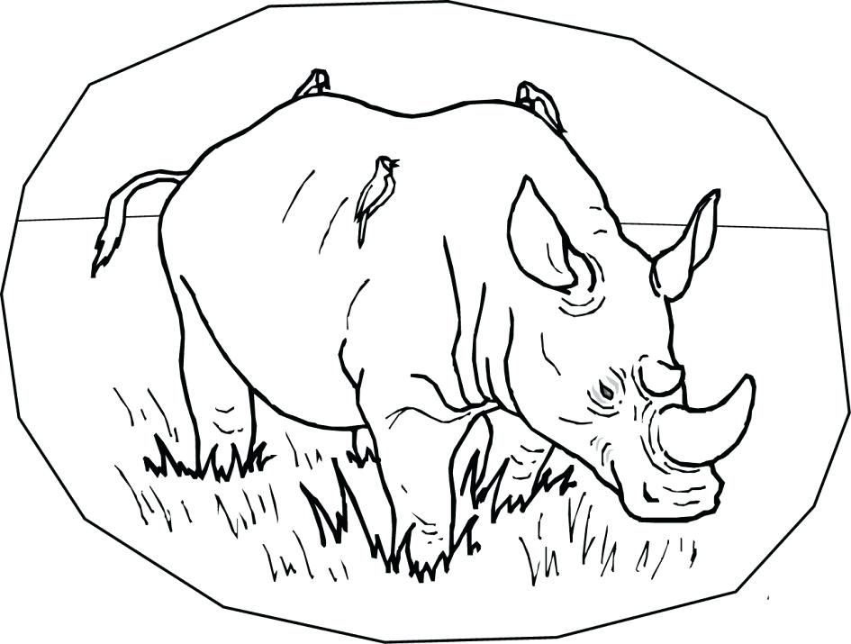 945x715 Rhino Coloring Page Rhino Coloring Page Free Printable Rhinoceros
