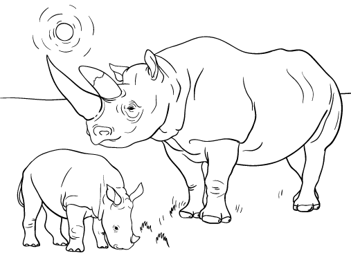 507x392 Rhino Coloring Page Coloring Page For Kids