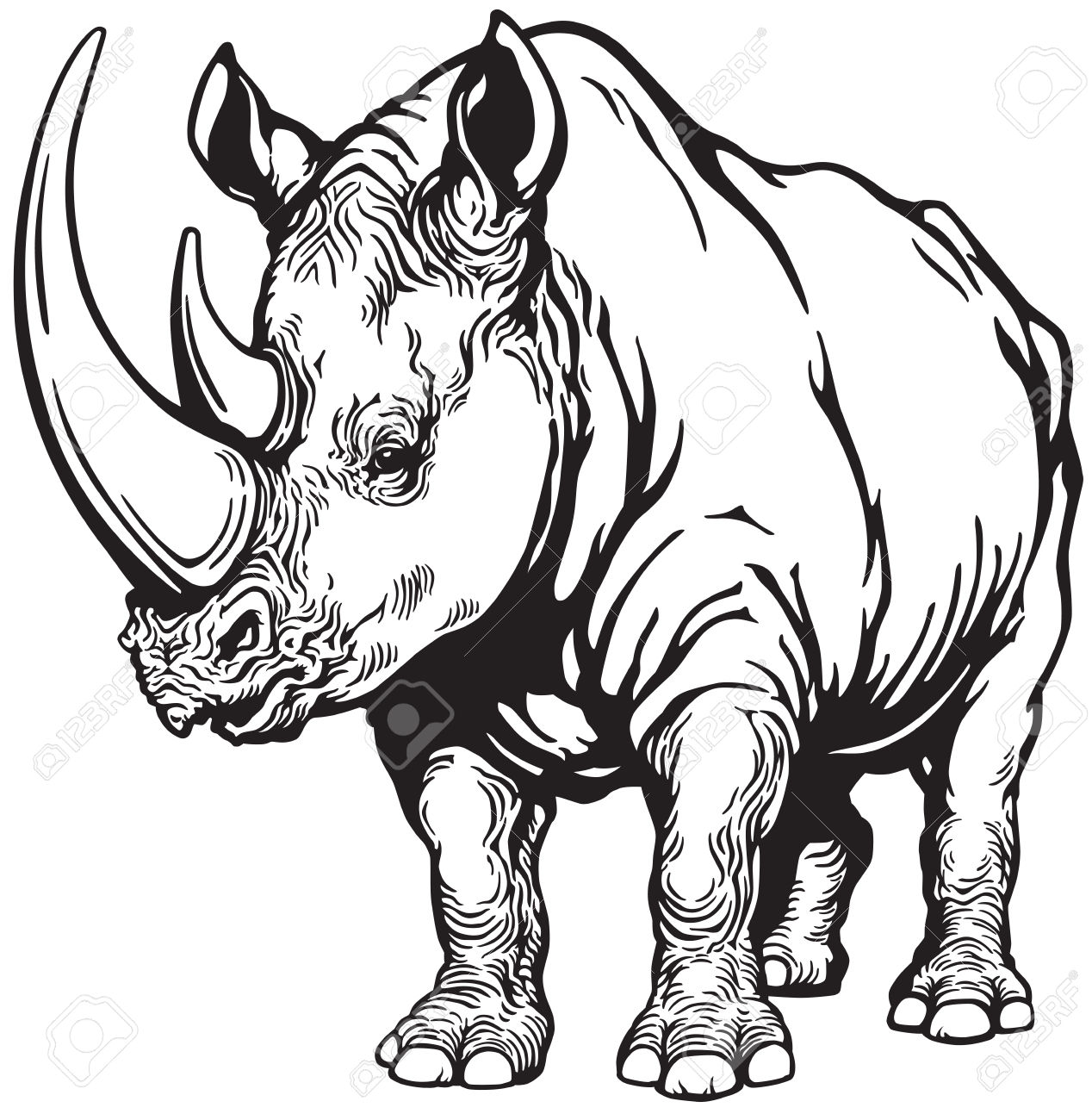 1268x1300 Black Rhinoceros Clipart