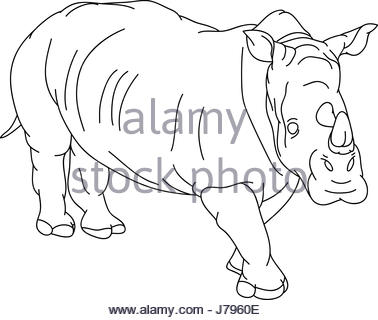 378x320 Cartoon Illustration Of Cute Rhinoceros Animal Character Stock