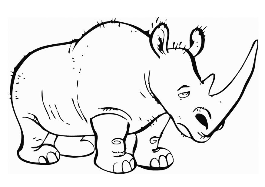 875x620 Coloring Page Rhinoceros