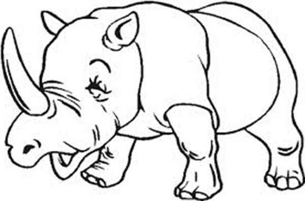 Rhinoceros Line Drawing at GetDrawings | Free download