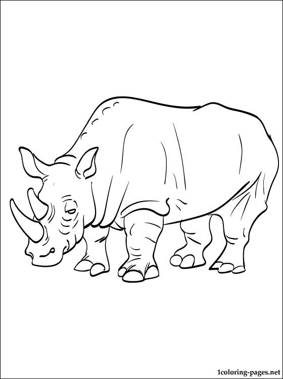 560x750 Drawn Rhino Coloring