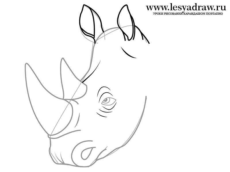 800x600 How To Draw A Rhinoceros With A Pencil Step By Step