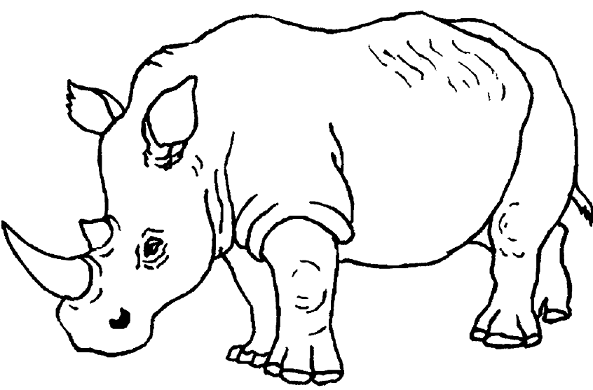 846x557 Rhino Coloring Pages To Print Elephant Coloring Pages To Print