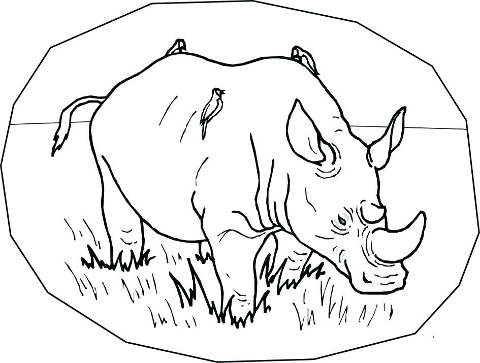 945x715 Rhinoceros Coloring Page Rhino Coloring Page Rhino Coloring Page