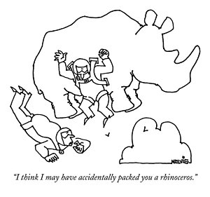 300x281 Rhinoceros Drawings Fine Art America