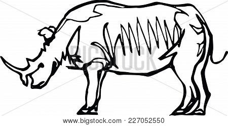 450x248 Rhinoceros Images, Illustrations, Vectors