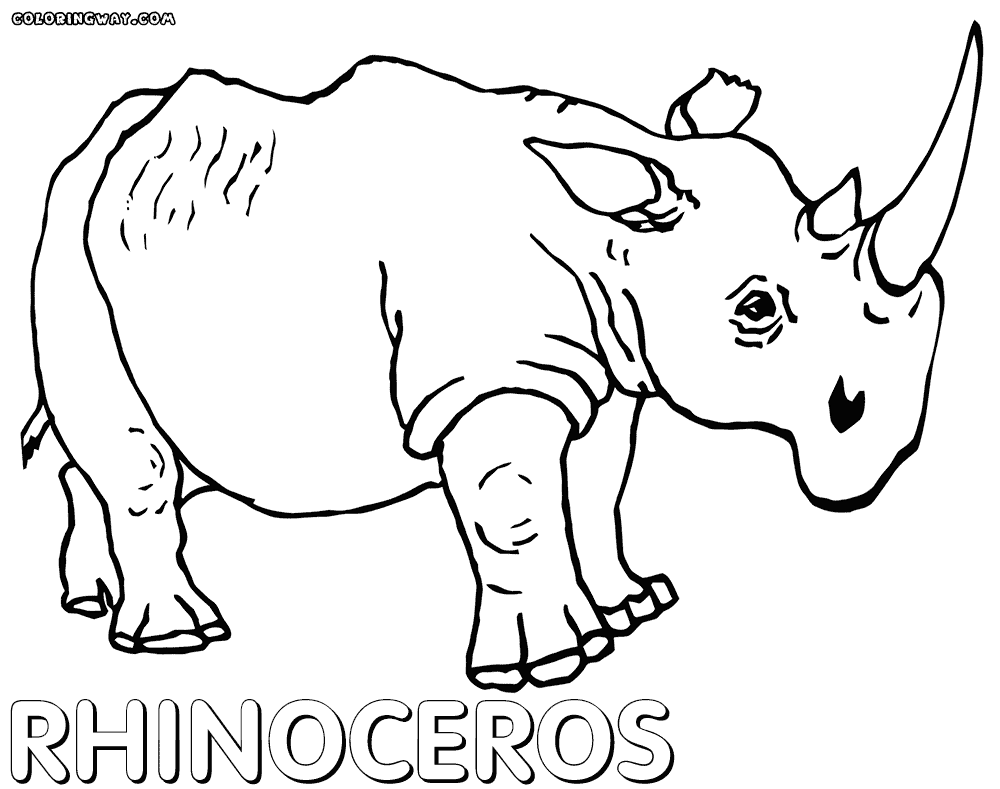 1000x789 Rhinoceros Coloring Pages Coloring Pages To Download And Print