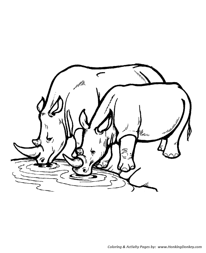 670x820 Wild Animal Coloring Pages Rhinoceros Coloring Page And Kids