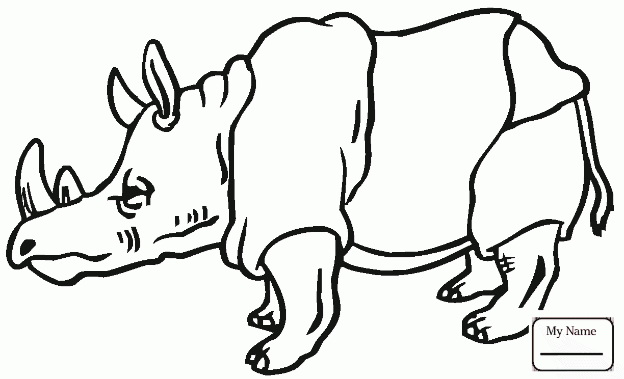 1224x744 Coloring Pages Mammals Baby Rhinoceros And Mother Against