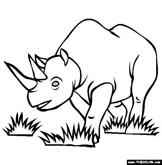 554x565 Black Rhinoceros Online Coloring Page