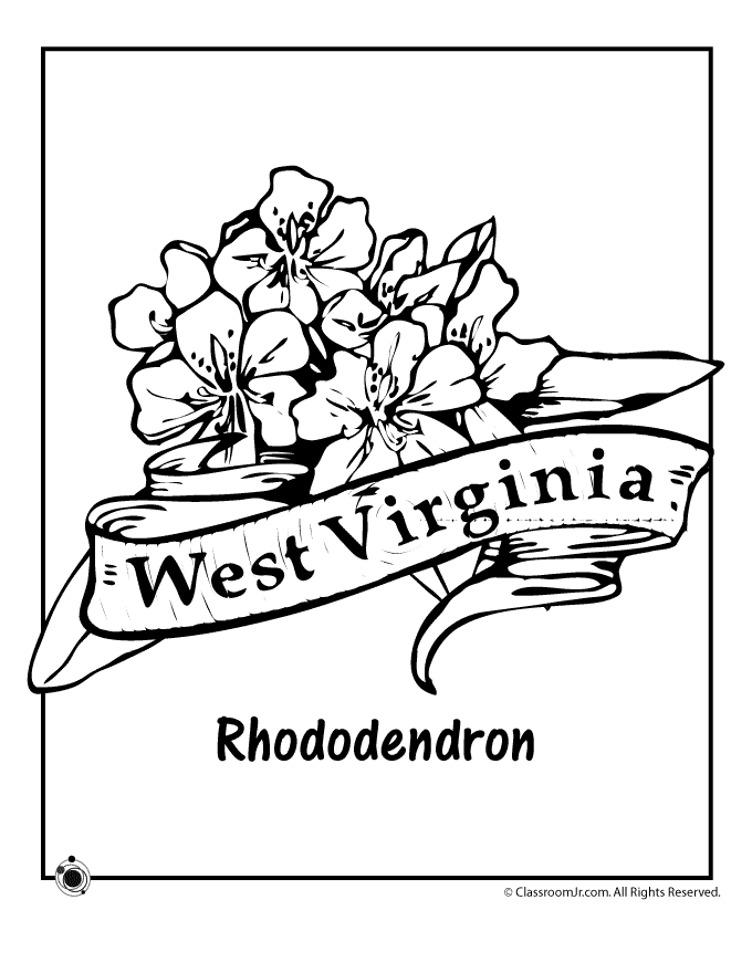 680x880 West Virginia State Flower Coloring Page