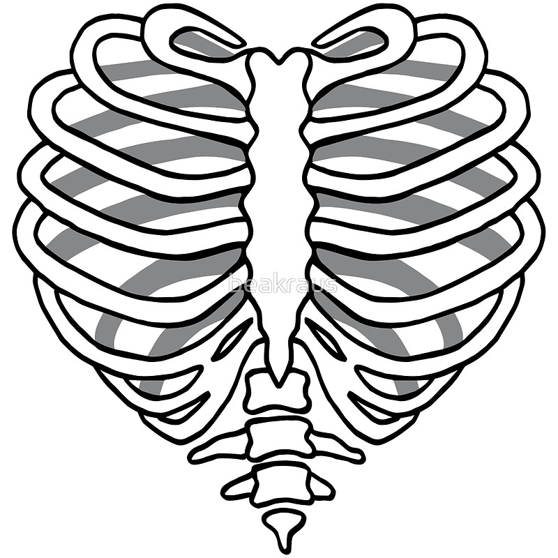 Rib Cage Drawing at GetDrawings | Free download